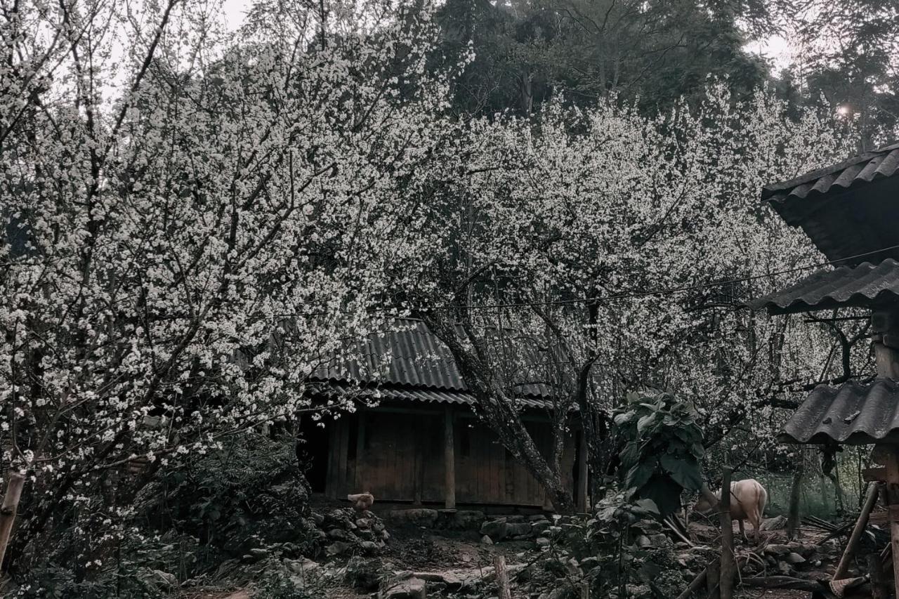 La Beaute Bac Ha Appartement Buitenkant foto
